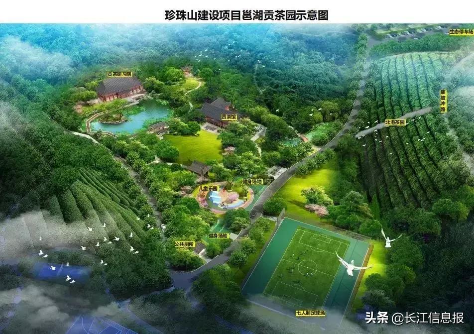 岳陽(yáng)北港小學(xué)最新動(dòng)態(tài)揭秘，校園新聞與活動(dòng)更新