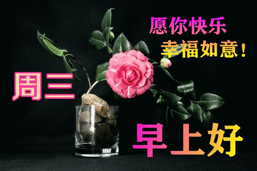 最新早晨問(wèn)候動(dòng)態(tài)表情包，溫馨問(wèn)候，從表情開(kāi)始！