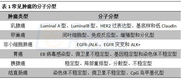 最新乳腺分類科技產(chǎn)品介紹，引領(lǐng)乳腺健康新篇章