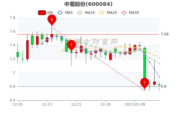 中葡股份股票行情深度分析與展望，未來走勢展望及行業(yè)前景預測。
