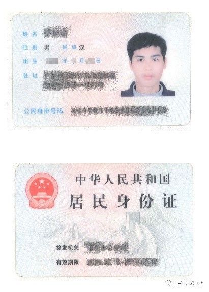 最新證照，友情與陪伴的溫馨故事之旅