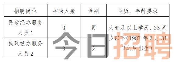 慶陽最新招聘揭秘，小巷中的特色小店，探索未知寶藏的職場之旅