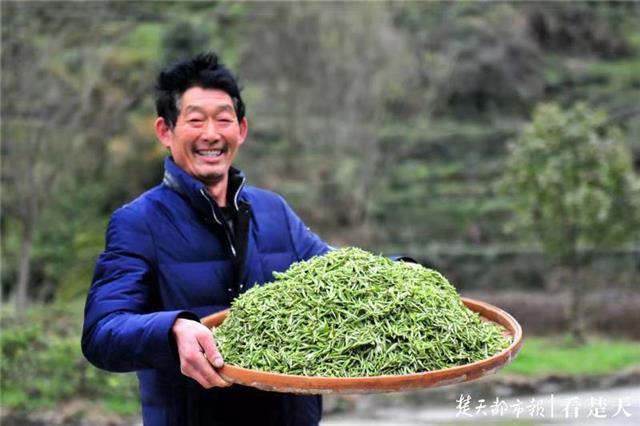 最新夷陵新聞，探索自然美景的旅程，尋覓內(nèi)心平和之地