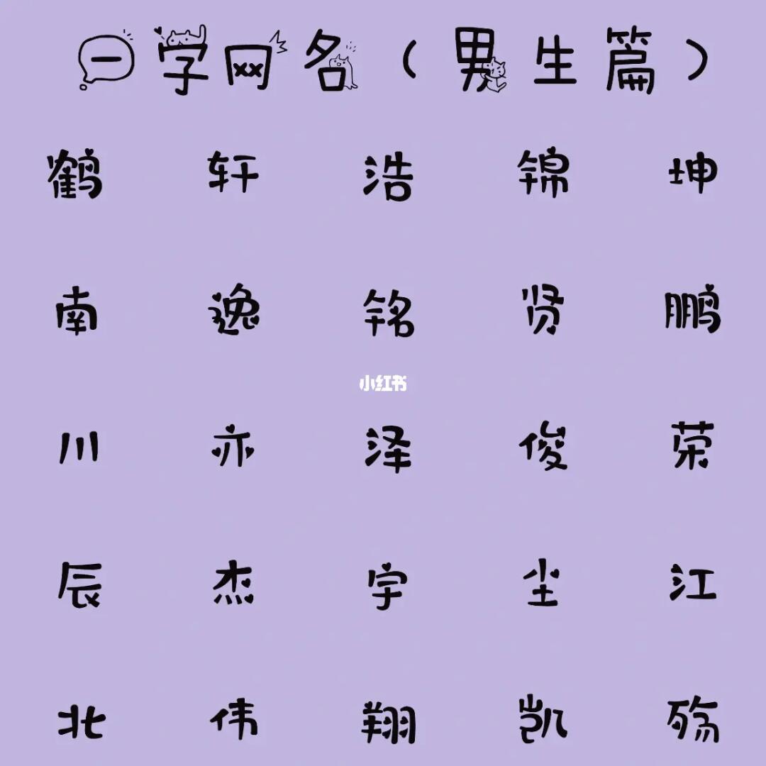 最新男生網(wǎng)名，時代潮流與虛擬身份的完美融合塑造