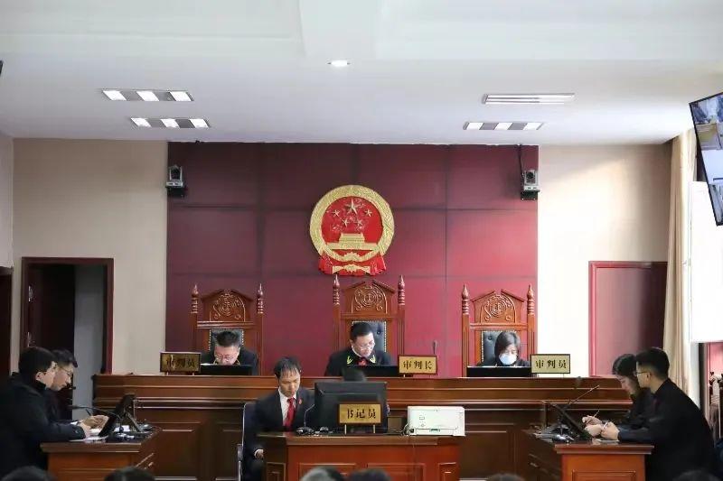 偏關(guān)最新案件深度解析，揭示真相，關(guān)注社會(huì)公正與公平