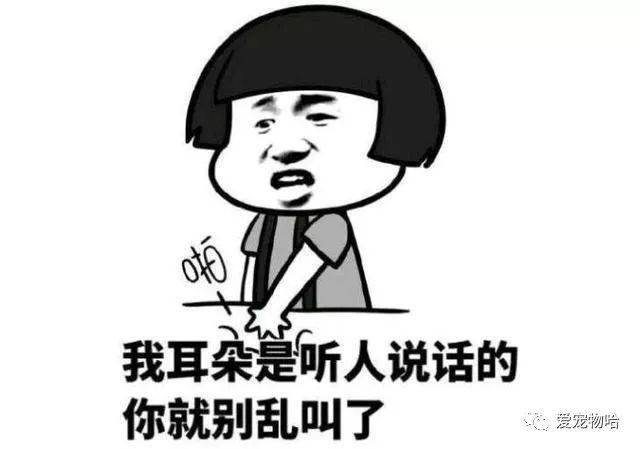 最新枕邊笑話，科技小寶貝，生活添樂(lè)趣