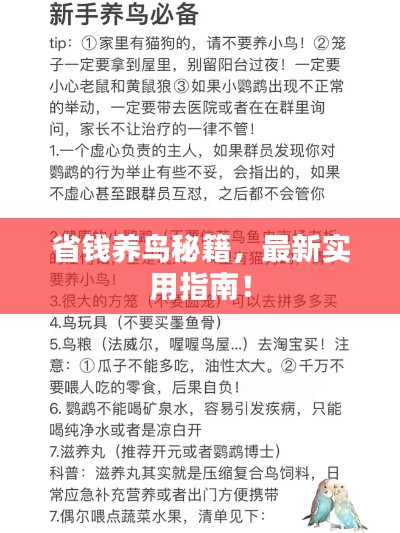 最新養(yǎng)鳥(niǎo)法規(guī)解析，觀點(diǎn)闡述與深度探討