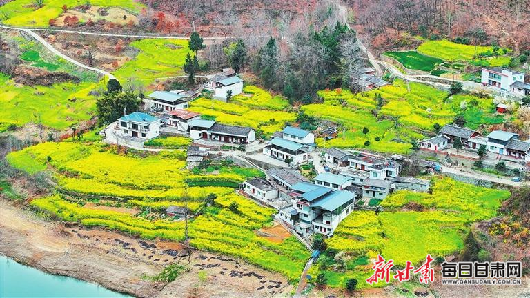 揭秘文縣，歷史背景、重大事件與時(shí)代地位全景展示