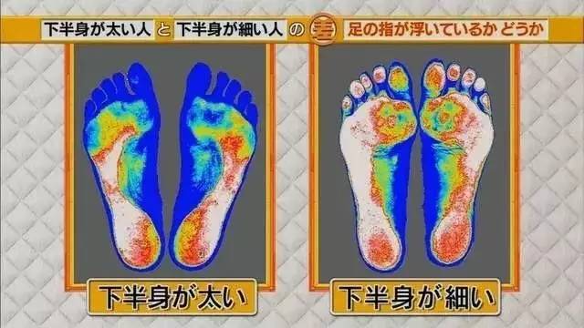 最新地趾論述，探索、爭議與觀點綜述