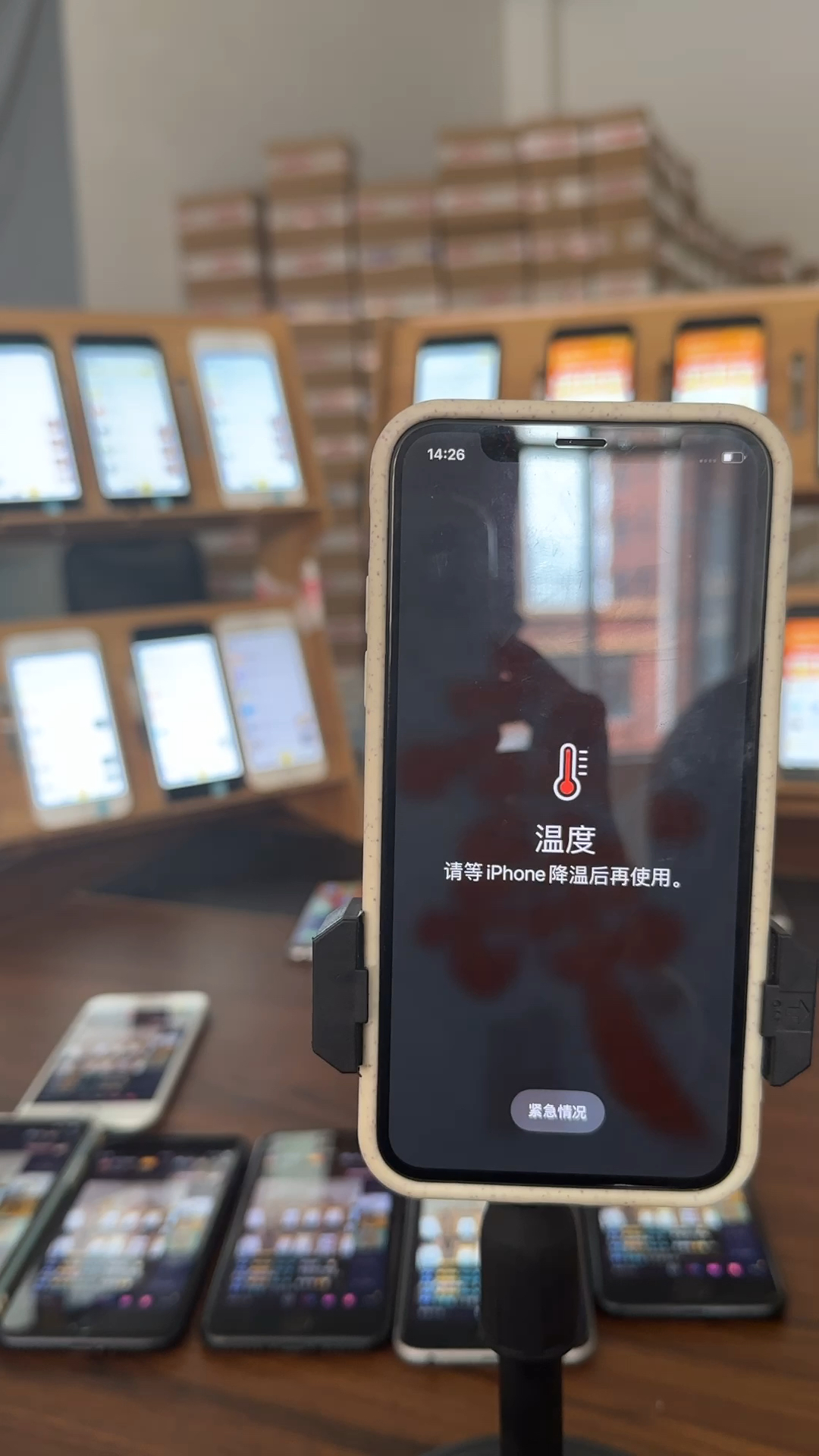 蘋果最新直播，科技與文化的完美融合盛宴