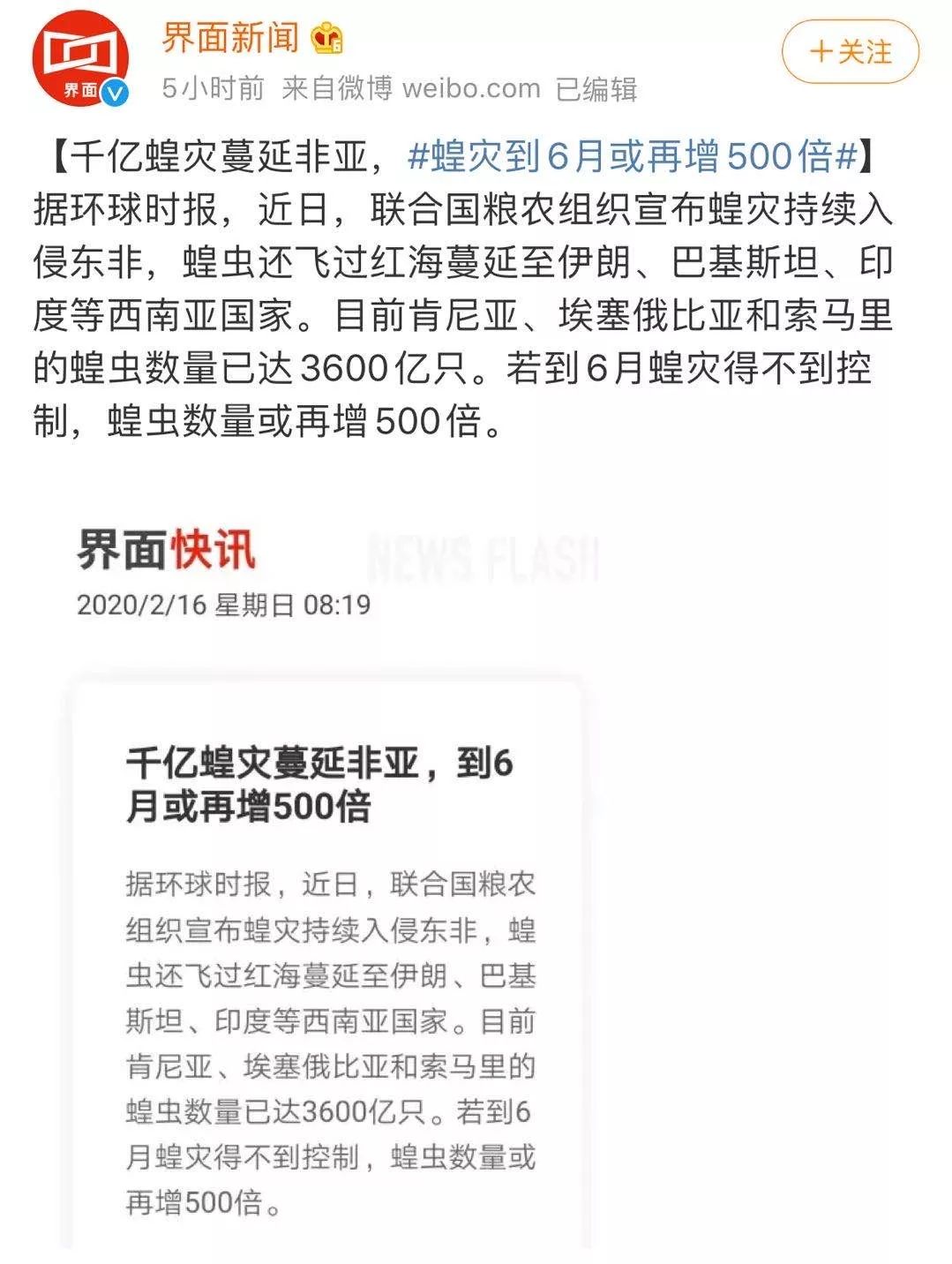 世界蝗災(zāi)最新動態(tài)，探索自然美景的輕松之旅