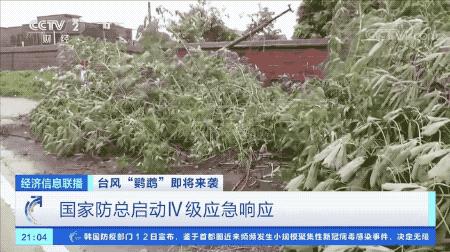 超強(qiáng)臺(tái)風(fēng)鸚鵡來(lái)襲，最新路徑動(dòng)態(tài)全解析???